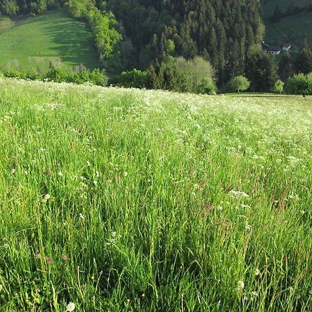 Hinterkimmighof Appartement Oberharmersbach Buitenkant foto