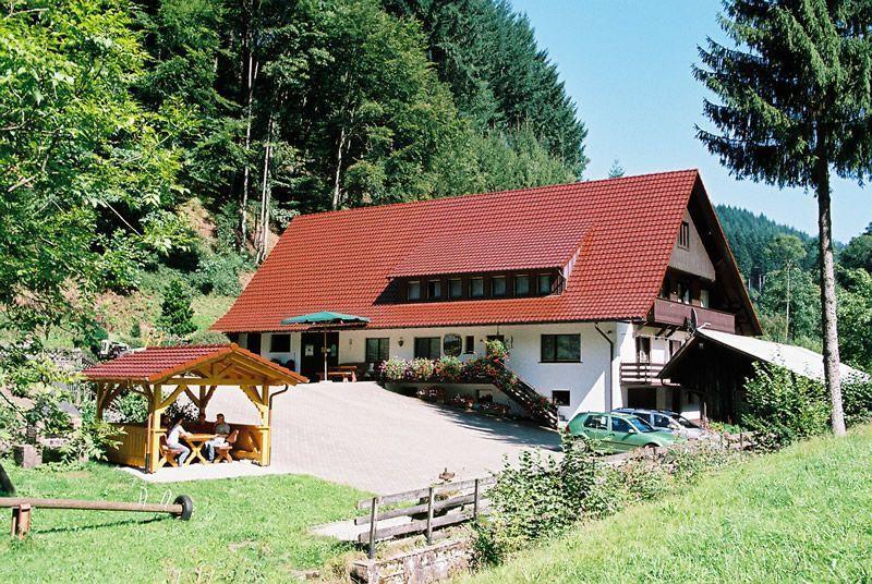 Hinterkimmighof Appartement Oberharmersbach Buitenkant foto